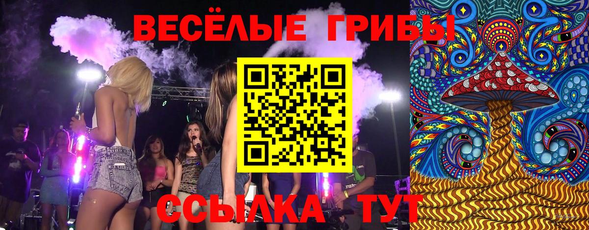 Галлюциногенные грибы Cubensis  наркошоп  Воткинск  Вход с VPN 